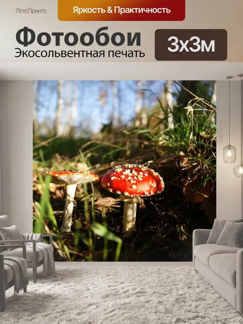 Фотообои Осень