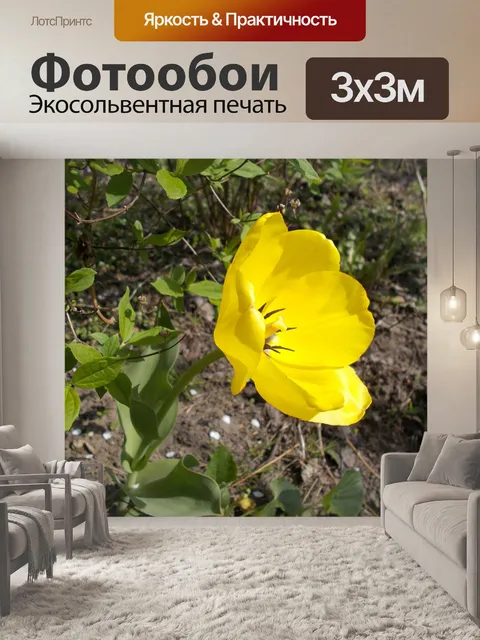 Фотообои Дача