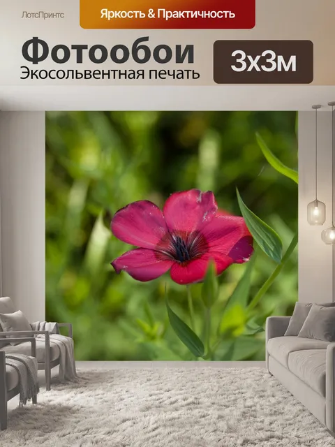 Фотообои Розовый