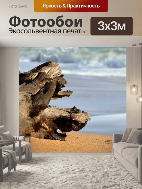 Фотообои Driftwood на Ocean Surf