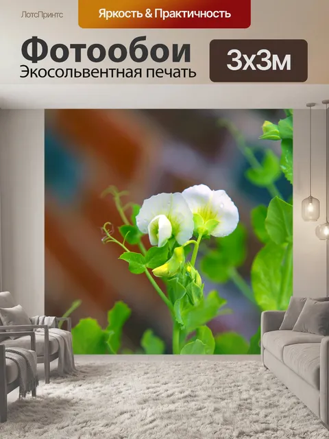 Фотообои Белые цветы на молодом горохе