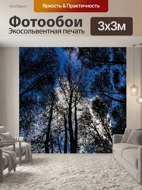 Фотообои Лес
