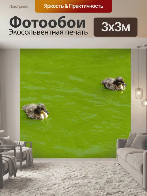 Фотообои Утенок