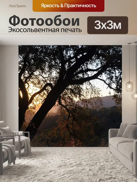 Фотообои Восход 02