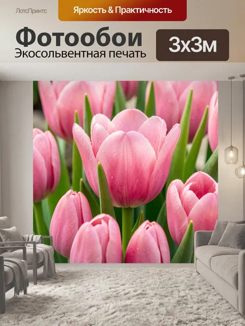 Фотообои Розовые тюльпаны с каплями росы