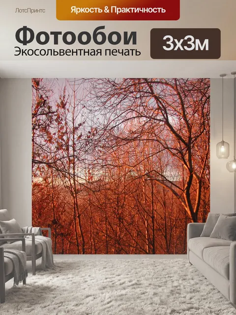 Фотообои Деревья