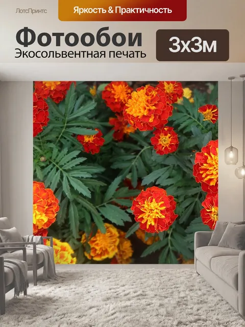 Фотообои Французский бархатцы