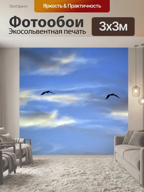 Фотообои чайки летают