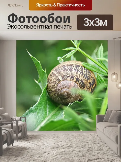 Фотообои Улитка
