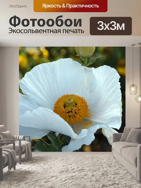 Фотообои Матилия Маки