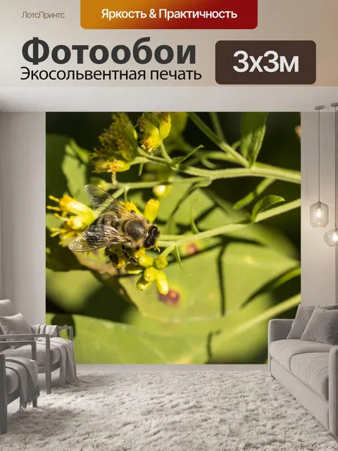 Фотообои Пчела