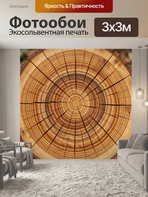 Фотообои Спил дерева с годовыми кольцами