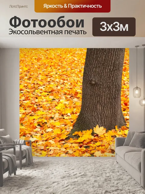 Фотообои ствол и опавшие листья