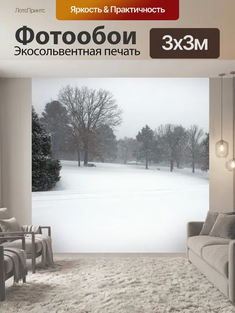 Фотообои Зимним днем арканзас