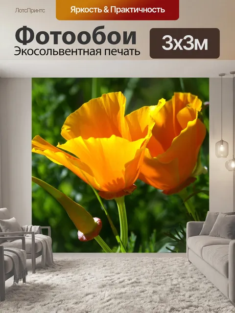 Фотообои Schscholzia californica