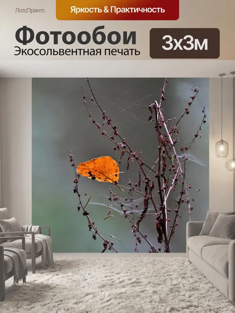 Фотообои Осень