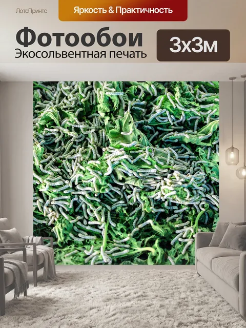 Фотообои Шелкопряд ест листья шелковицы