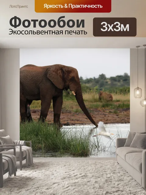 Фотообои Африканец