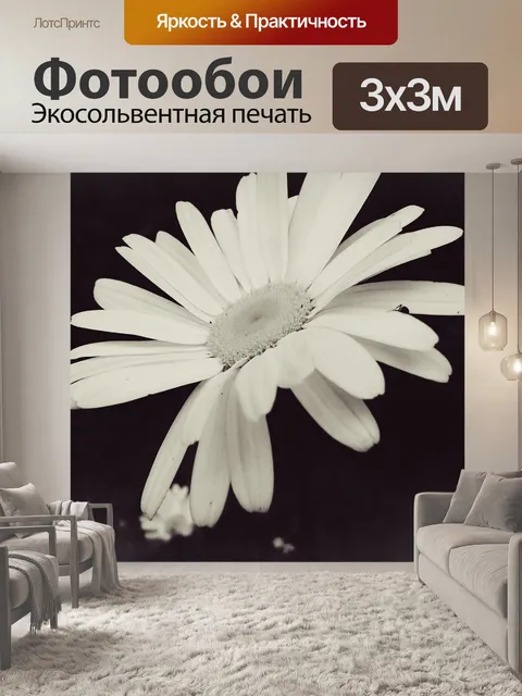 Фотообои Цветок