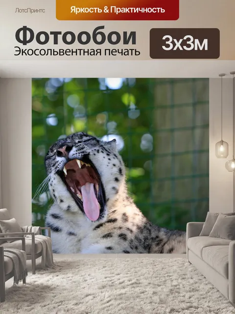 Фотообои Snow Leopard Зияющие