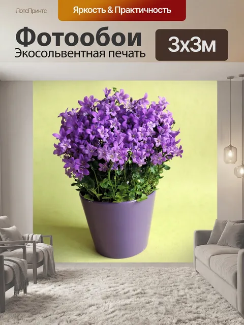 Фотообои Цветы