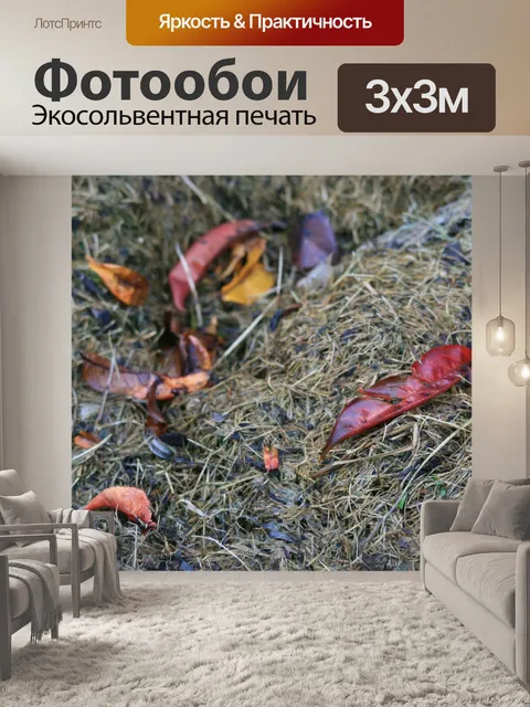 Фотообои осенние листья на компост