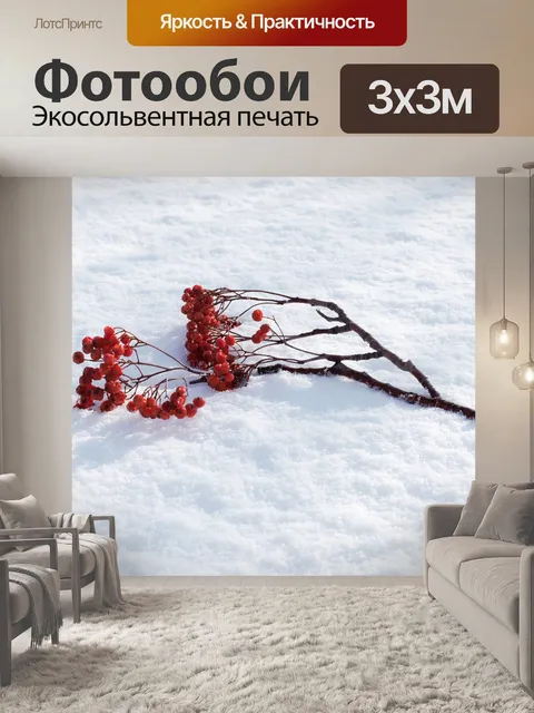 Фотообои Рябина