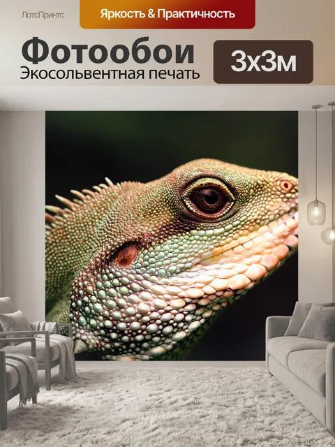 Фотообои Китайские воды дракон