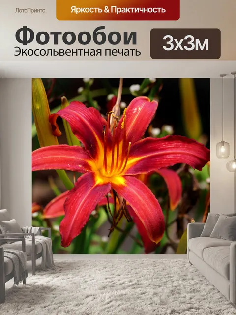 Фотообои Красный день Лили крупным планом