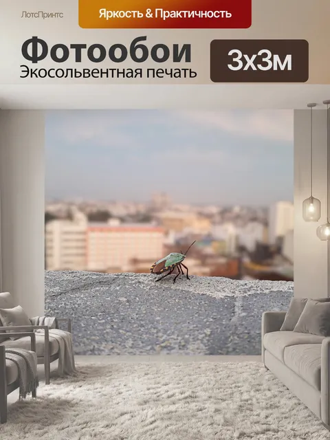 Фотообои Ошибка