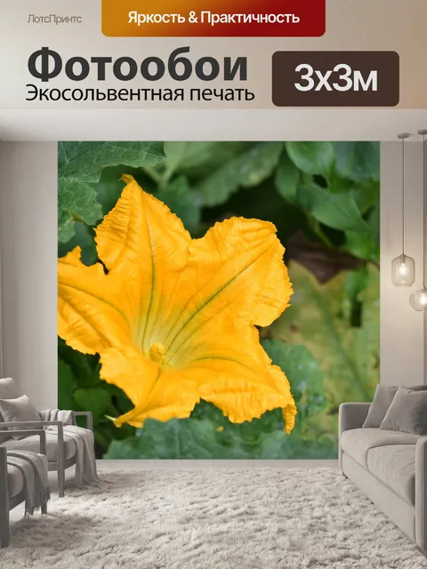 Фотообои Цветок