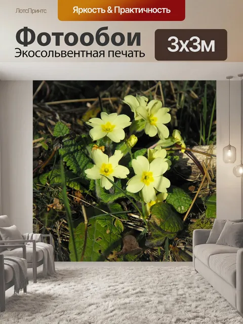 Фотообои Первоцветы