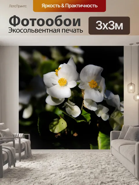 Фотообои Цветы