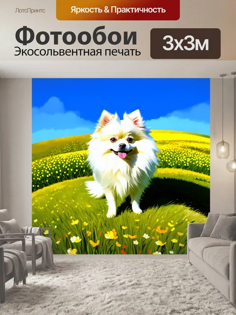 Фотообои белый померанский шпиц