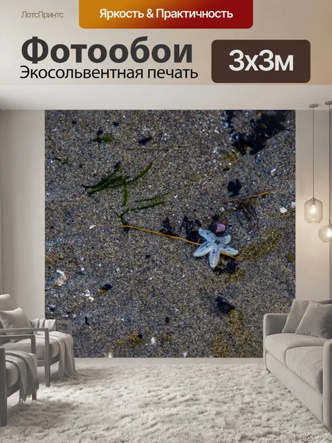 Фотообои Миниатюрная морская звезда под водой