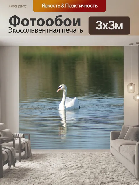 Фотообои Лебедь