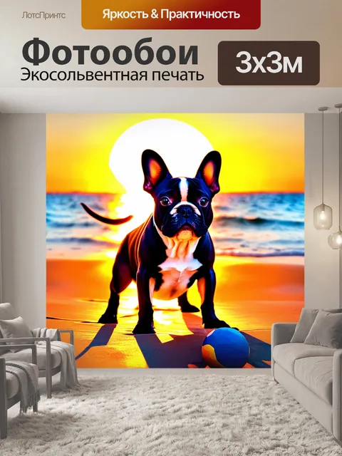 Фотообои французский бульдог, играющий с мячом на фоне заката на пляже, с отражениями солнечного света на воде