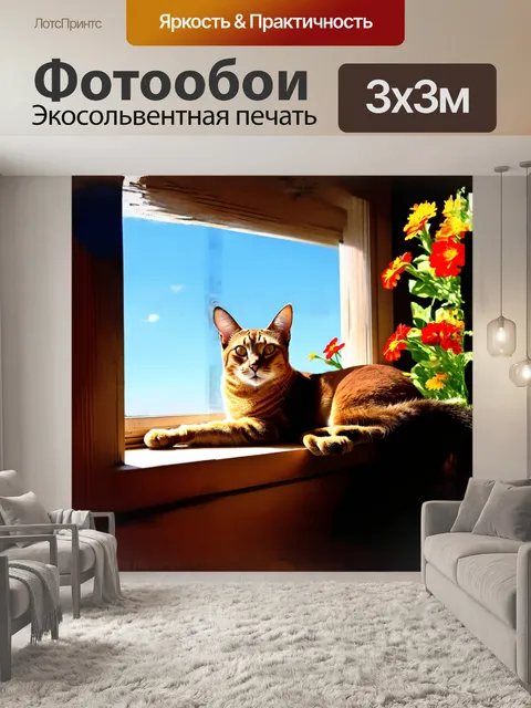 Фотообои абиссинская кошка, лежащая на простом деревянном подоконнике, наблюдает за миром с любопытством