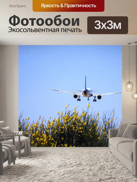 Фотообои Самолет
