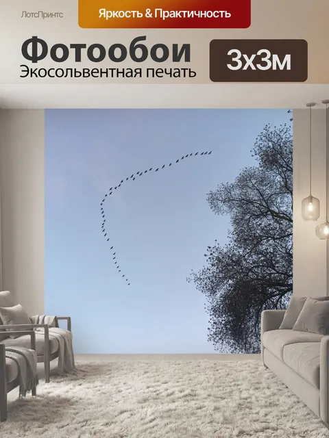 Фотообои V Формирование