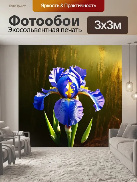 Фотообои ирис крупным планом с резкими границами между яркими оттенками синего и желтого