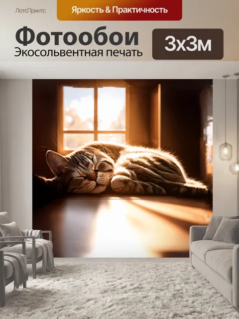 Фотообои реалистичное изображение спящей кошки в солнечной комнате с окном