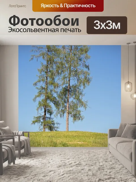 Фотообои Деревья