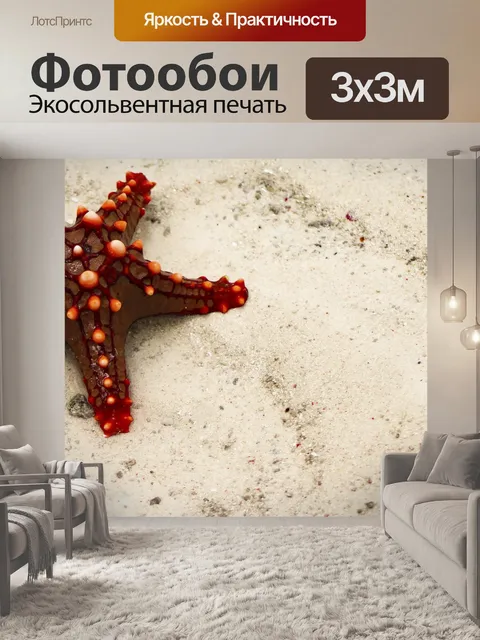 Фотообои морская звезда