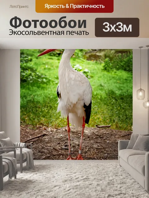 Фотообои Аист