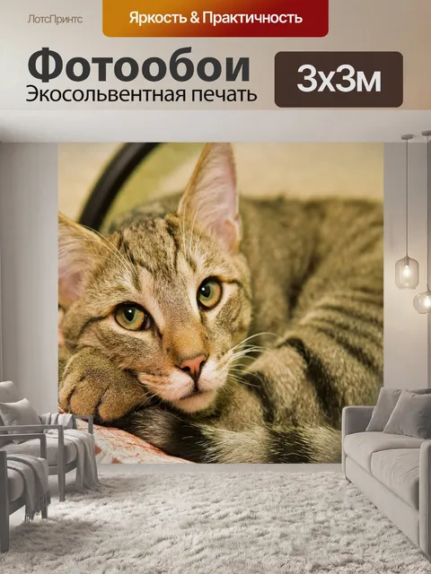 Фотообои Похмелье