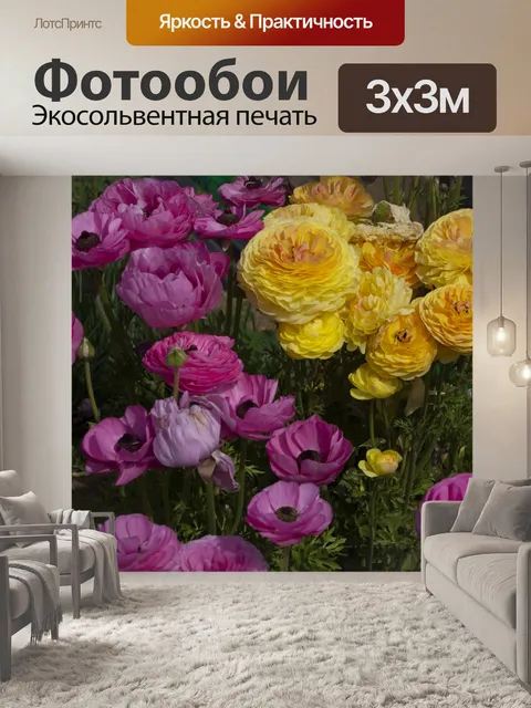 Фотообои цветы лютика