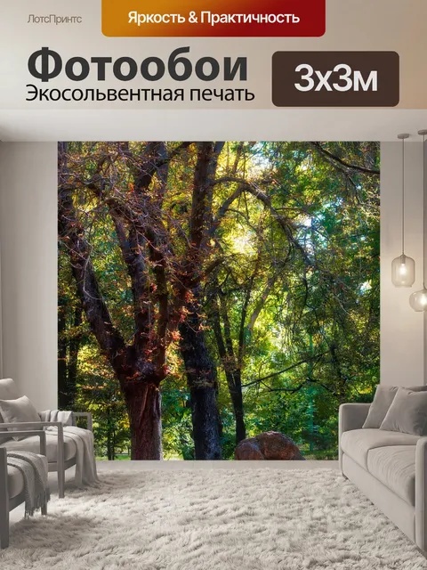 Фотообои Парк