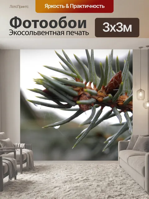 Фотообои Сосна