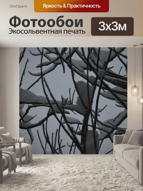 Фотообои Снег на Филиалы